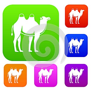 Camel set color collection
