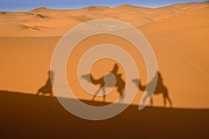 Camel shadows on Sahara Desert sand in Morocco.