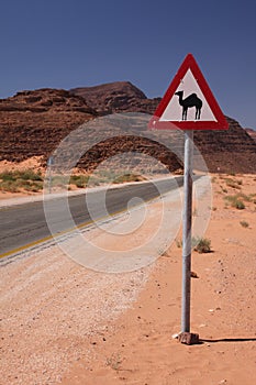 Camel sign