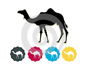 Camel silhouette as Flat Icon