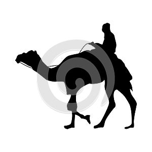 Camel silhouette black