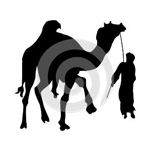 Camel silhouette black photo