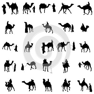 Camel silhouette set