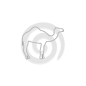 Camel. flat vector icon