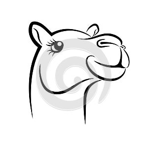 Head of camel drawn sign