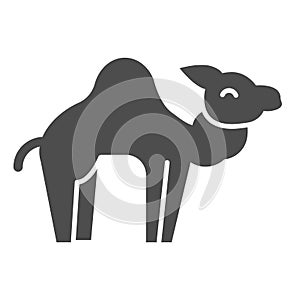 Camel solid icon. Desert caravan animal silhouette. Animals vector design concept, glyph style pictogram on white