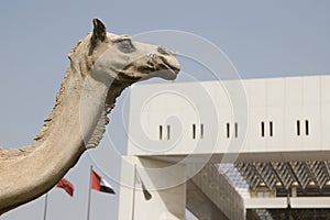 Camel Statue At Dubai Municipality Headquarters