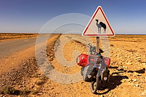 Camel street sign with a touring bike