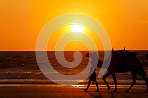 Camel Sunset - Cable Beach - Broome - Australia
