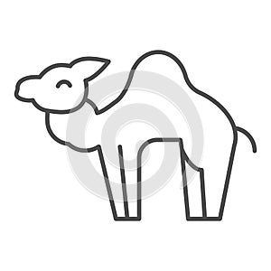 Camel thin line icon. Desert caravan animal silhouette. Animals vector design concept, outline style pictogram on white