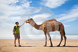 Camel and tourist