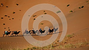 A camel train in Gobi desert