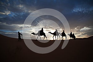 Camel train silhouetted against colorful sky crossing the Sahara