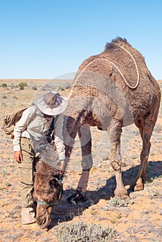 Camel trekking n the outback of Australia