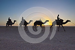 Camel trekking tour in the Moroccan Sahara desert