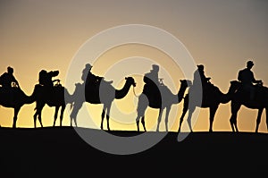 Camel trekking tours in the desert - dromadaires safary