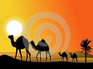 Camel trip silhouette