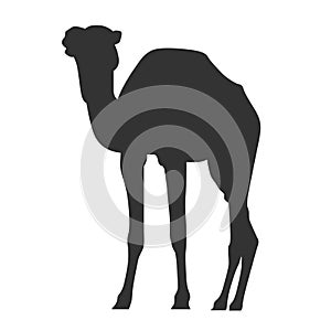 Camel vector eps silhouette Hand drawn Crafteroks svg free, free svg file, eps, dxf, vector, logo, silhouette, icon, instant downl