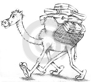 Camel walking with suitcases Pencil illustration humorist and realist photo