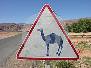 Camel warning sign