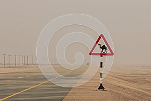 Camel warning sign on the road in desert