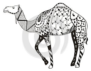 Camel zentangle stylized, vector, illustration, freehand pencil