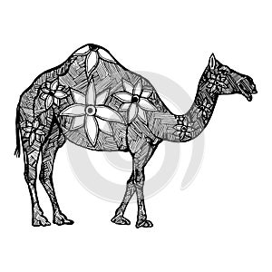 Camel in zintagl style. Ethnically stylized animal.