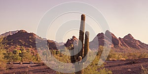 Camelback Mountain seen from Papago Park Phoenix Arizona