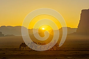 Camelcade at sunrise in Wadi Rum desert park