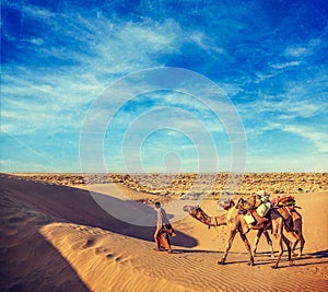 Cameleer camel driver with camels in dunes of Thar desert. Raj