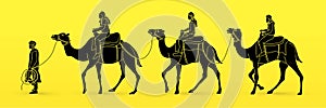 Cameleer with camels cartoon graphic