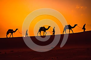 Cameleers, camel Drivers at sunset. Thar desert on sunset Jaisalmer, Rajasthan, India