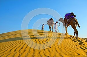 Cameleers with camels walking on golden sand dunes