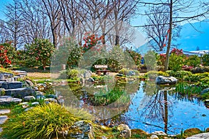 Camellia bushes around the pond in Camellia Park, Locarno, Switzerland