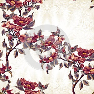 Camellia flowers. Branches with flowers, buds and leaves. Seamless background. Oriental style drawing. Graphic arts.