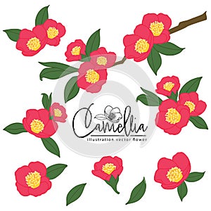 camellia red flower illlustration element vector set