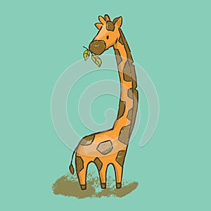 CAMELOPARD Cartoon Savannah Animal Giraffe Hand Drawn Vector photo