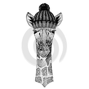 Camelopard, giraffe Cool animal wearing knitted winter hat. Warm headdress beanie Christmas cap for tattoo, t-shirt photo
