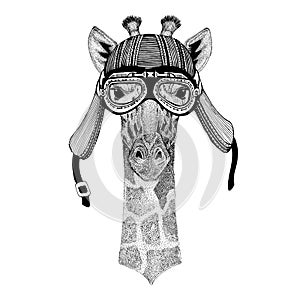 Camelopard, giraffe Hand drawn image of animal wearing motorcycle helmet for t-shirt, tattoo, emblem, badge, logo, patch
