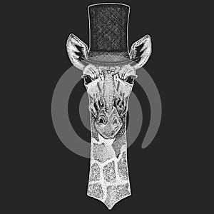 Camelopard, giraffe Top hat, cylinder. Hipster animal, gentleman. Classic headdress. Print for children t-shirt, kids photo