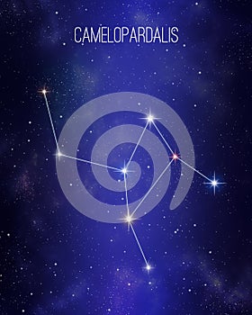 Camelopardalis the giraffe constellation on a starry space background. Stars relative sizes and color shades based on their
