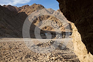 Camels, Blue Hole, Dahab