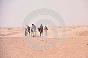 Camels caravan going in sahara desert in Tunisia, Africa. Tourists ride the camel safari. Camel caravan going through the sand