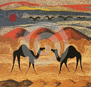 Camels in desert