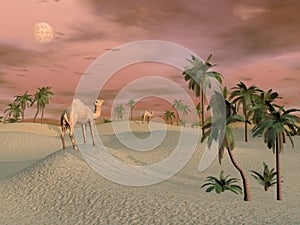Camels in the desert - 3D render