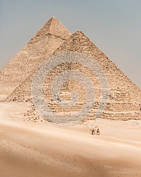 Camels and Egyptian Pyramids photo