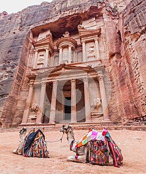 Camels in front of the Al Khazneh temple (The Treasury) in the ancient city Petra, Jord