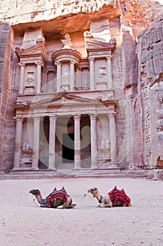 Camels in front of the treasury