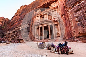 Camels in front of the Treasury at Petra the ancient City Al Kh