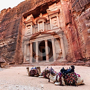 Camels in front of the Treasury at Petra the ancient City Al Kh